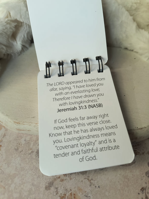The New Immersive Beloved Scripture Flip - COMING SOON!💛
